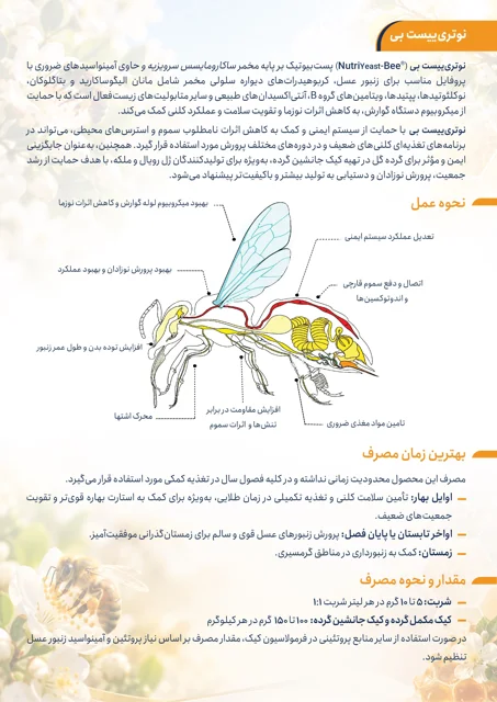 نوتری ییست بی 1 کیلویی